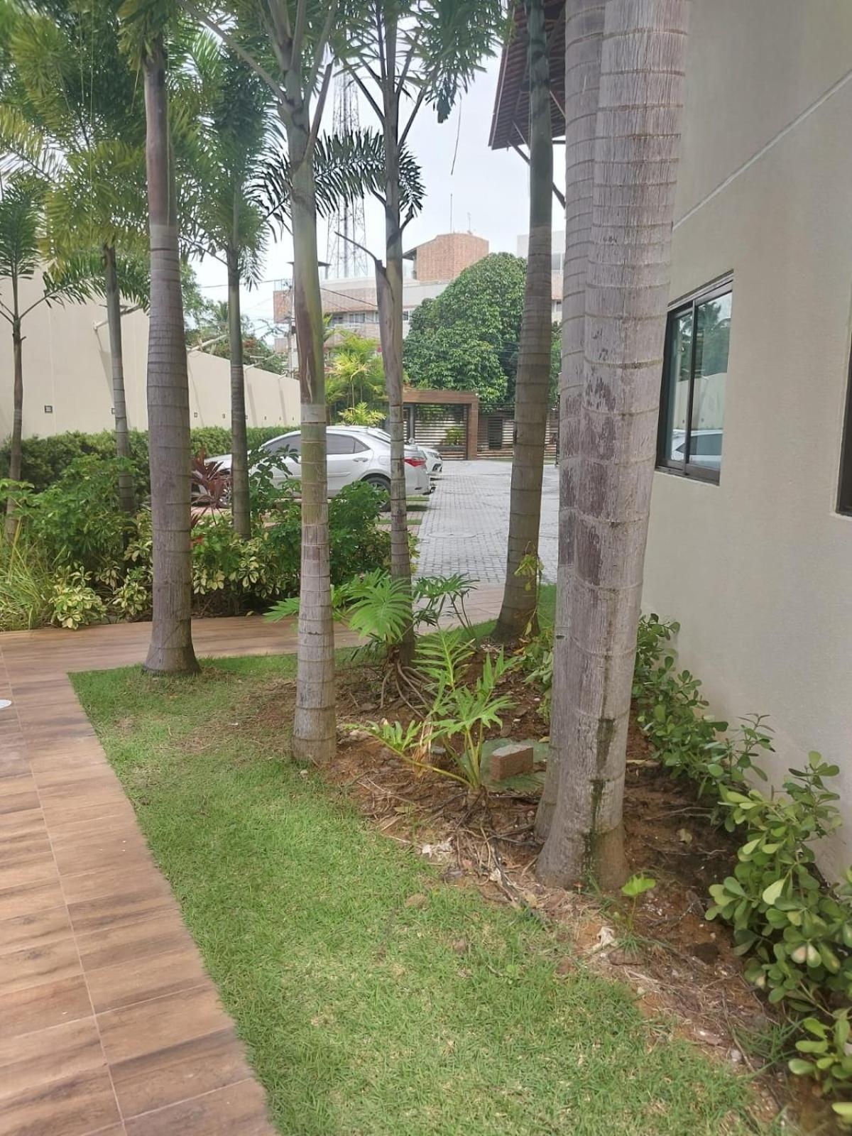 Apartment Flat Em A 50 Metros Do Mar Porto de Galinhas
